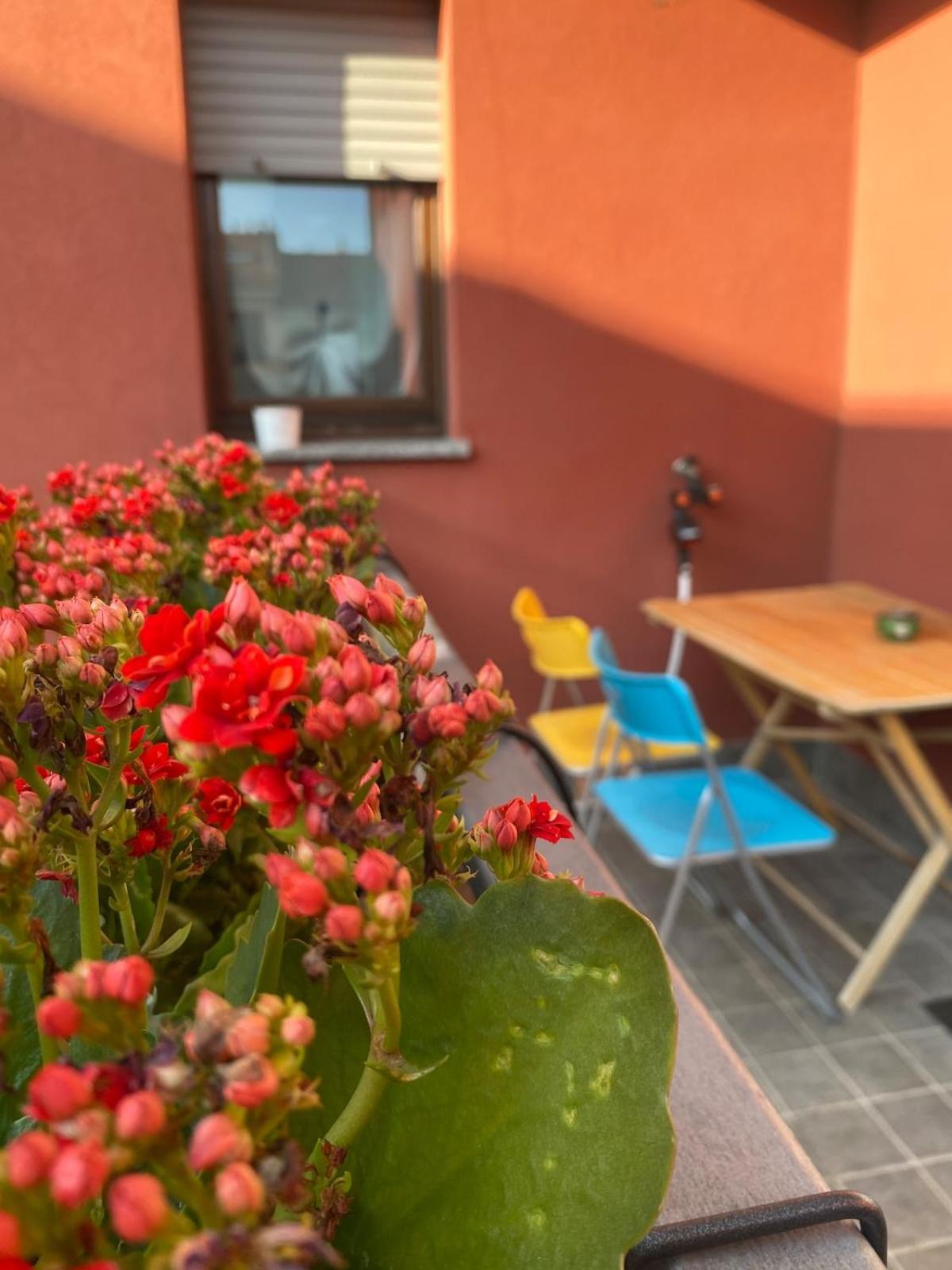 Luce Place Authentic Getaway Apartment Mailand